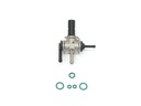Saeco Steam Water Valve Seal Kit Odea, Talea (248355')