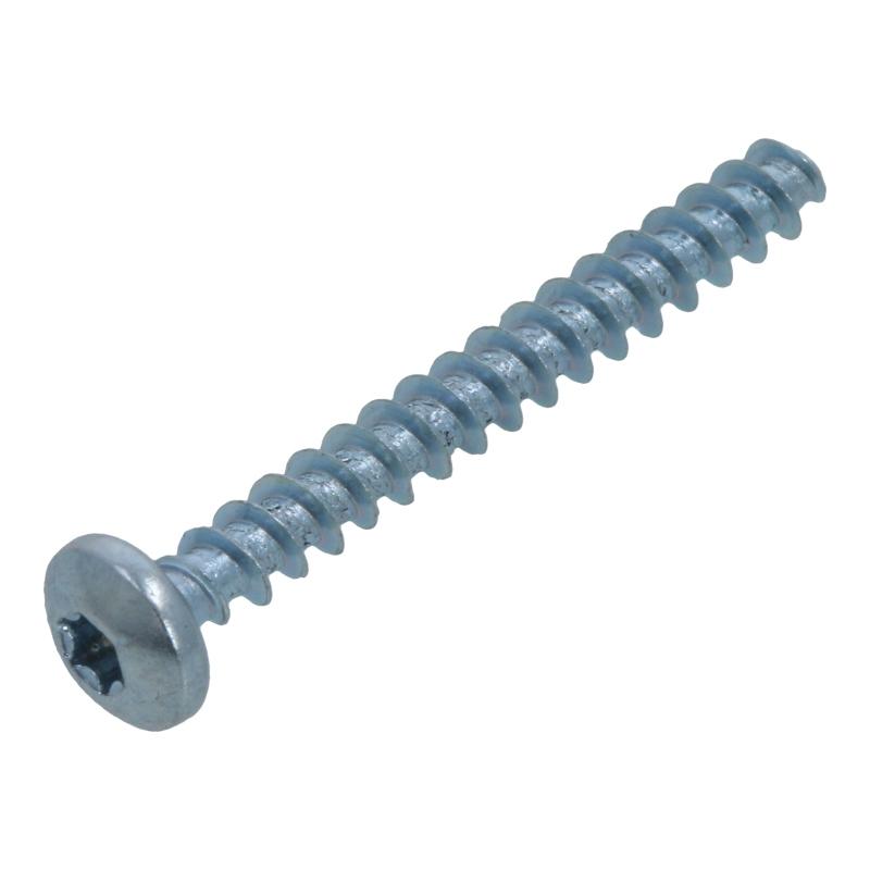 Philips Saeco Grinder Protective Cover Screw 4219402 (421940212391')