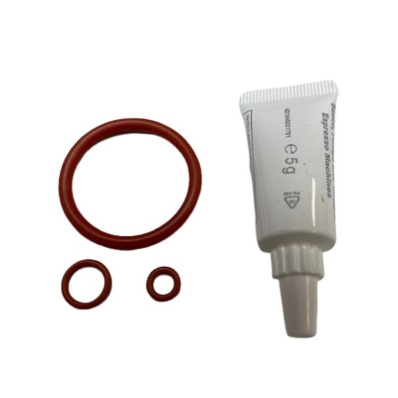 Gasket Set for Brewing Unit V1 Saeco, Philips, Gaggia (621667 V1')